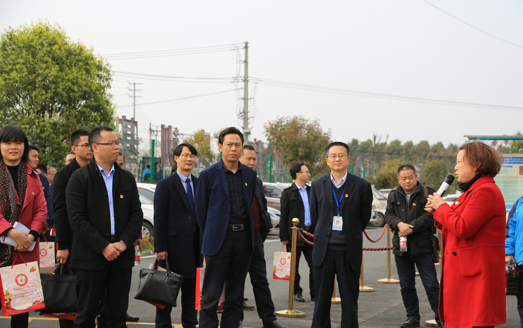青白江区教育系统党建工作会在我校举行
